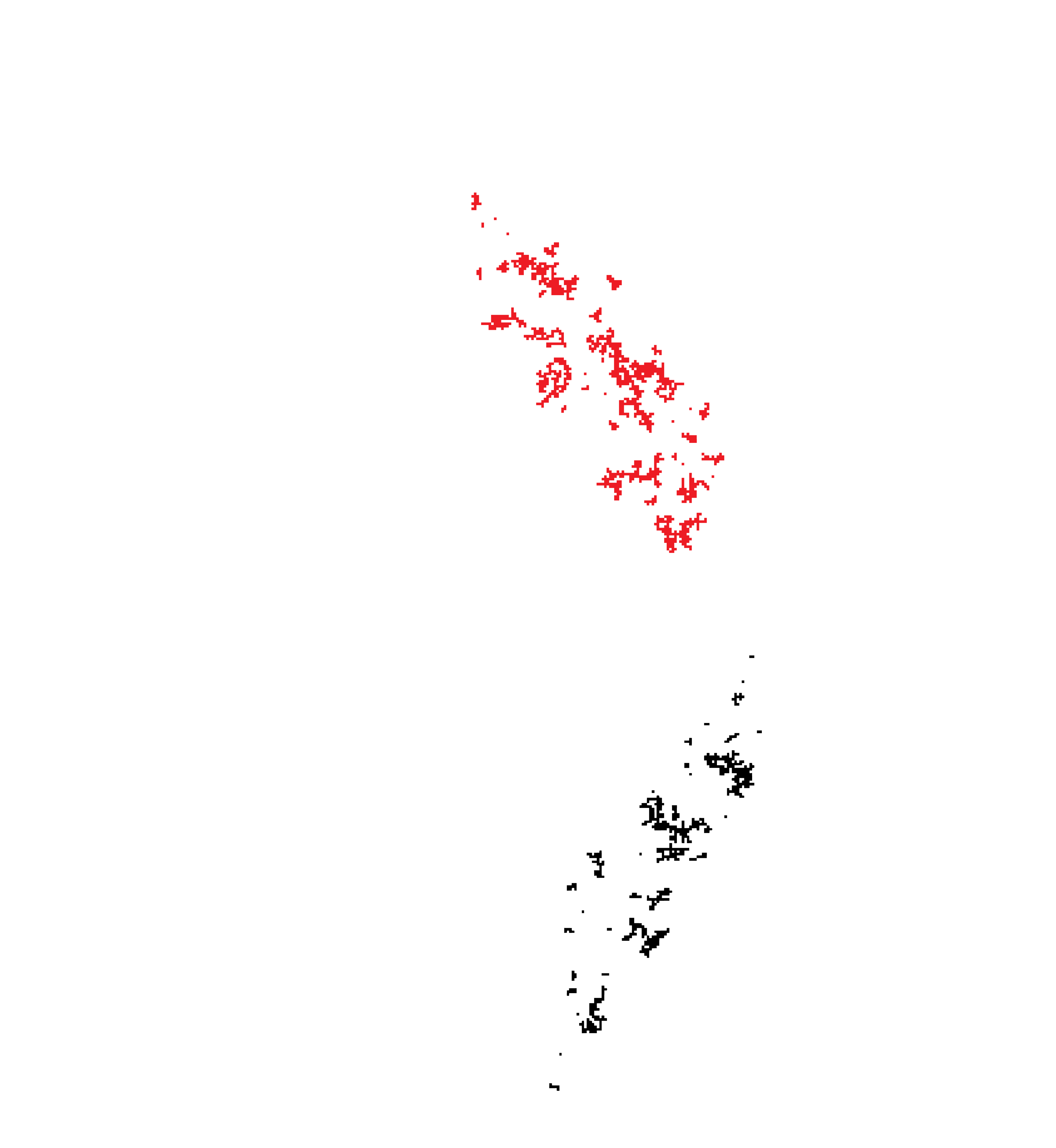 NOKEMONO